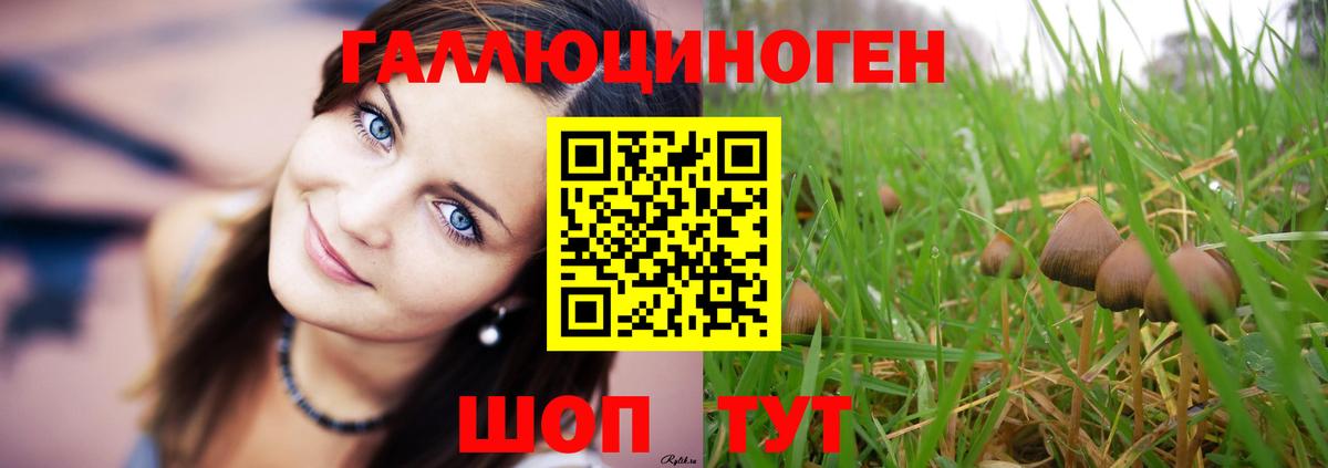 Галлюциногенные грибы Magic Shrooms  Вход с VPN  Гай  Галлюциногенные грибы Psilocybine cubensis 