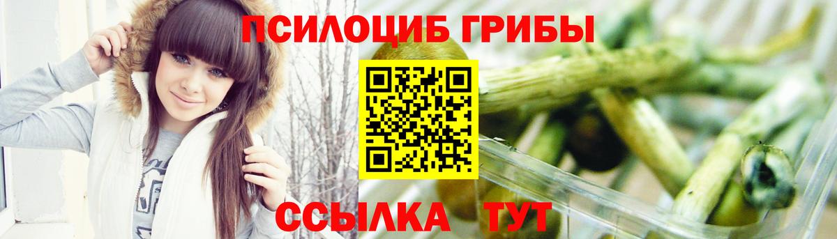 Псилоцибиновые грибы Magic Shrooms Гай